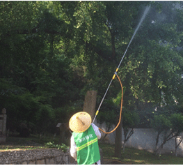 古樹(shù)名木病蟲(chóng)害防治